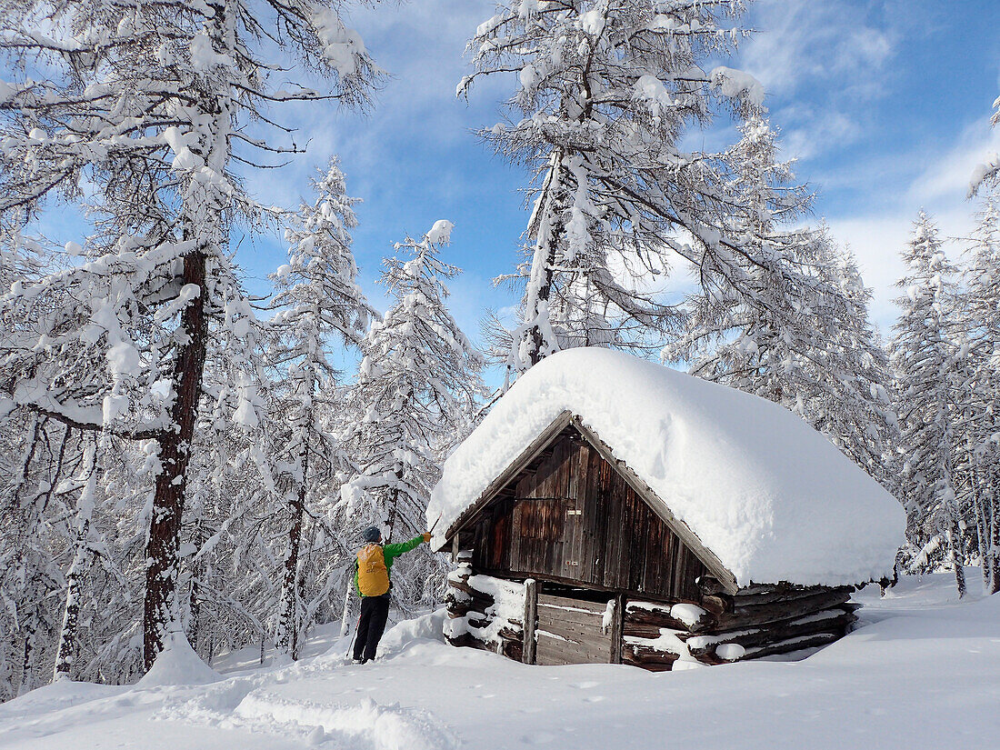 Austria,Tyrol,a man carrying a yellow backpack is standing in a larch forest in ,front of a wooden caban covered by fresh snow