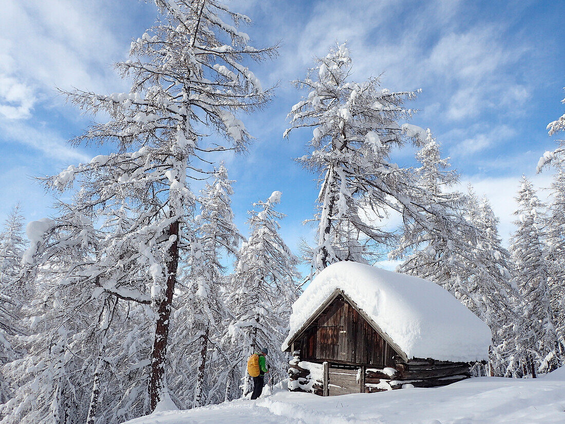 Austria,Tyrol,a man carrying a yellow backpack is standing in a larch forest in ,front of a wooden caban covered by fresh snow