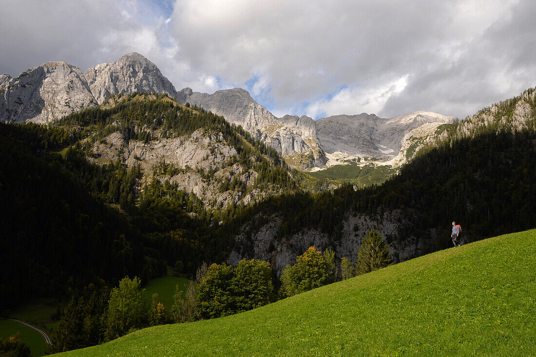 Austria,Styria,Johnsbach valley,a lonely man crosses a field  in front of a limestone mountain range dominated by the HOCHTOR summit 2369m