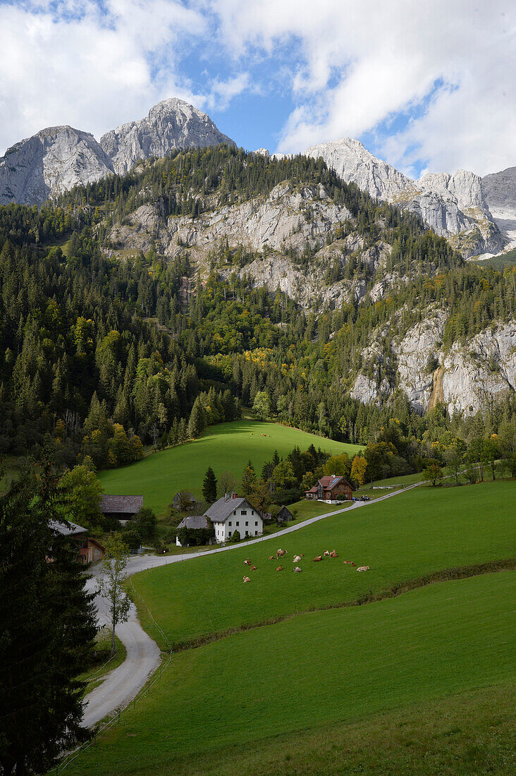 Austria,Styria,Johnsbach valley,limestone mountain landscape with pine forests ,fields and a traditional farm at the bottom