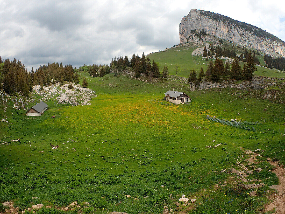 France,Savoie,alpine pasture and cabans of the Alpette at the bottom of the Mont Granier 1933M in Chartreuse