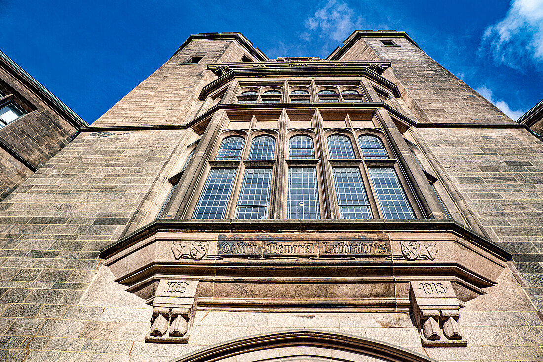 Osborn Memorial Laboratories, Ansicht aus extrem niedrigem Winkel, Yale-Universität, New Haven, Connecticut, USA