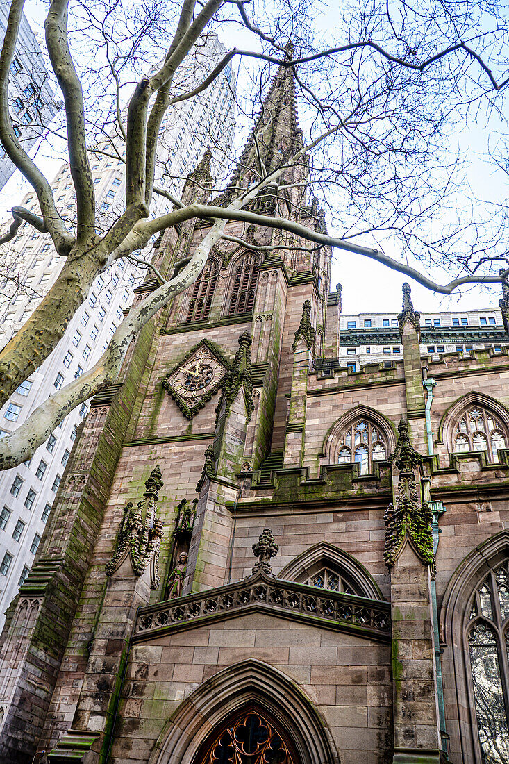 Trinity Church, Blick aus geringer Höhe durch einen kahlen Baum, New York City, New York, USA