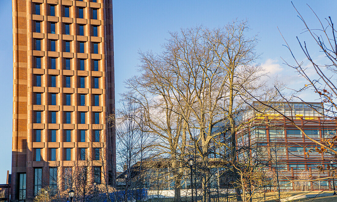 Kline Biology Tower, Außenansicht, und Science Hill, Yale University, New Haven, Connecticut, USA Kline Biology Tower, Yale University, Hochschulen und Universitäten, Architektur, Wolkenkratzer, New Haven, Connecticut, USA