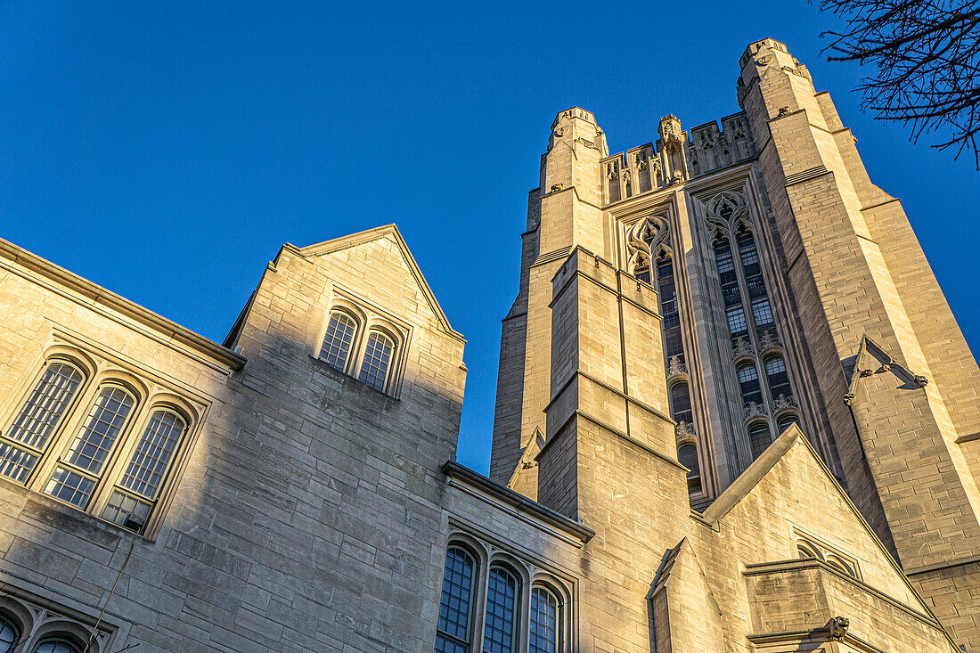 Sheffield-Sterling-Strathcona Hall, Außenansicht mit niedrigem Winkel, Yale University, New Haven, Connecticut, USA