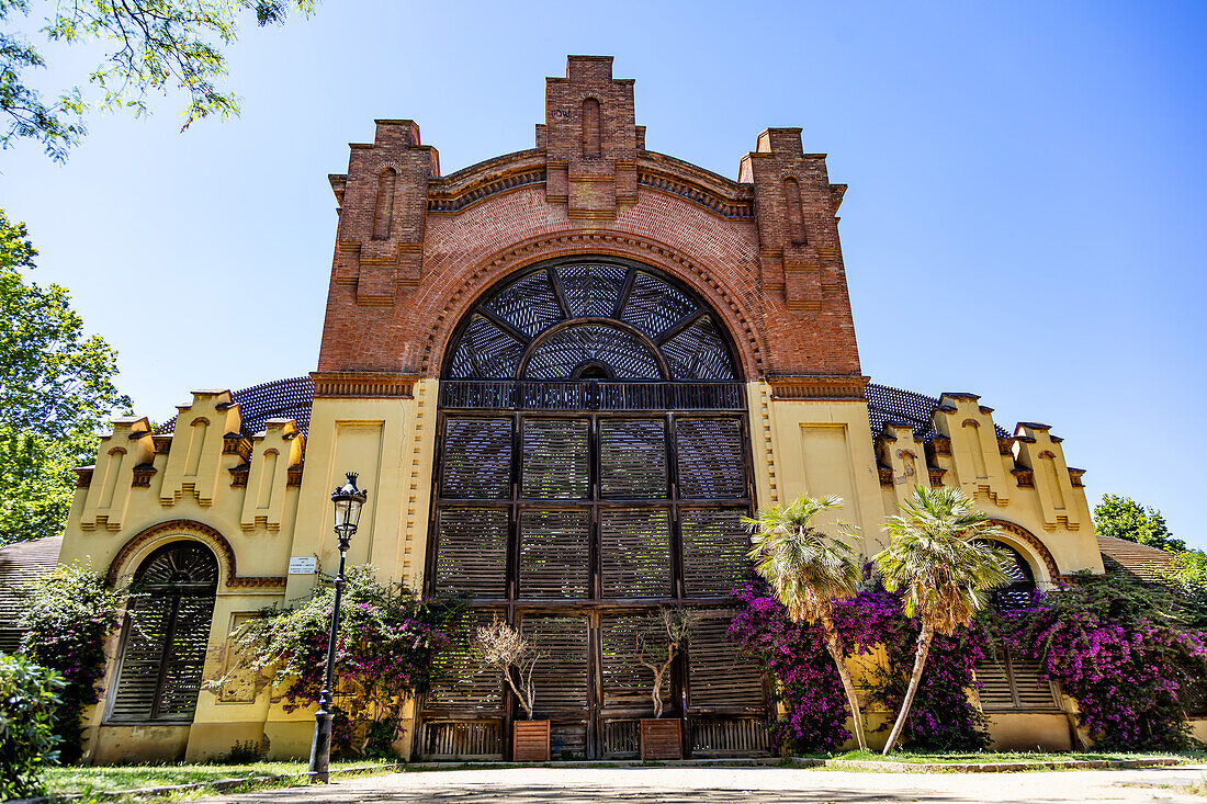 BARCELONA,SPANIEN - 2. JUNI 2019: Blick auf das Umbraculum des Ciutadella-Parks.