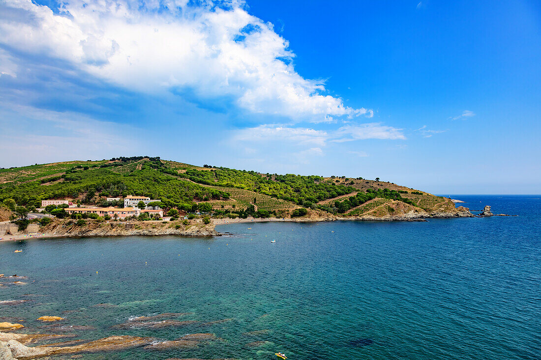 Banyuls-sur-Mer - 21 July 2019: Seaside of Banyuls-sur-Mer,Pyrenees-Orientales,Catalonia,Languedoc-Roussillon,France