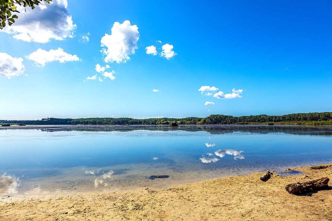 Hardy-Teich,Seignosse,Landes,Frankreich