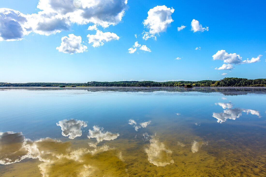 Hardy-Teich,Seignosse,Landes,Frankreich