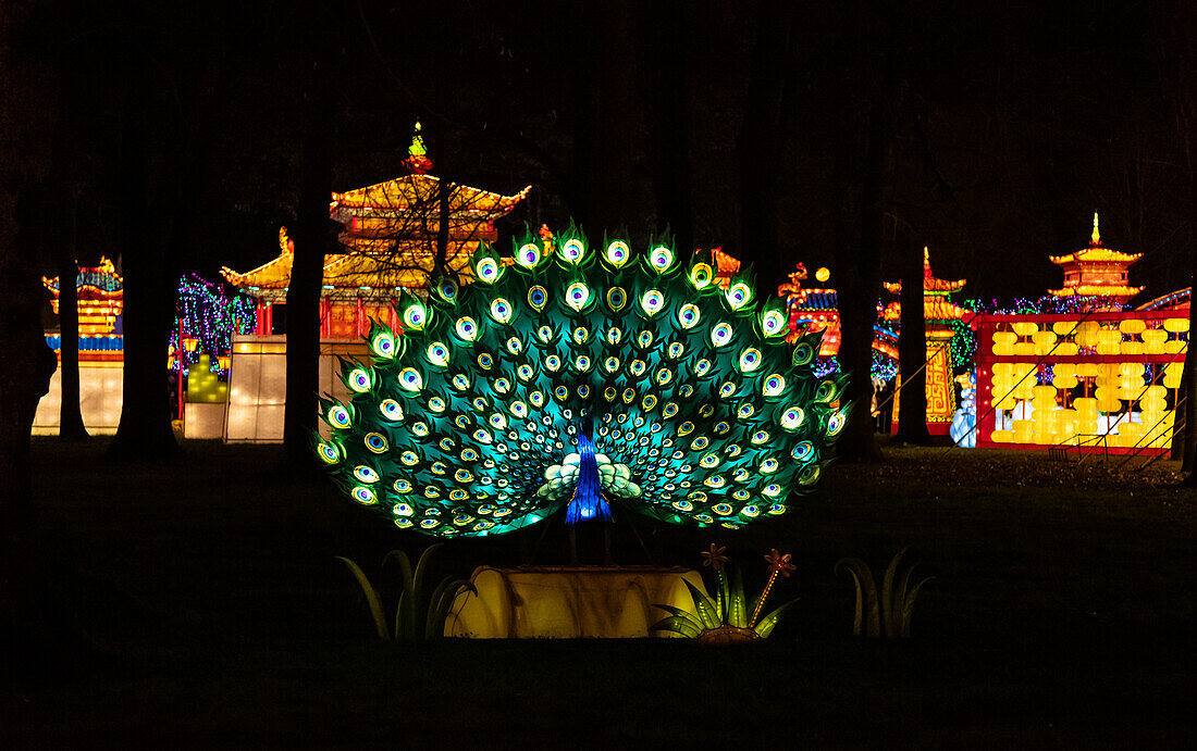 Lantern festival of Gaillac,Tarn,Occitanie,France. Du 01-12-2018 au   06-02-2019 au Château de Foucaud.