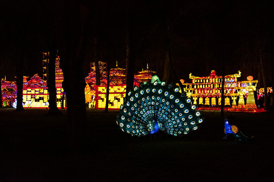 Lantern festival of Gaillac,Tarn,Occitanie,France. Du 01-12-2018 au   06-02-2019 au Château de Foucaud.