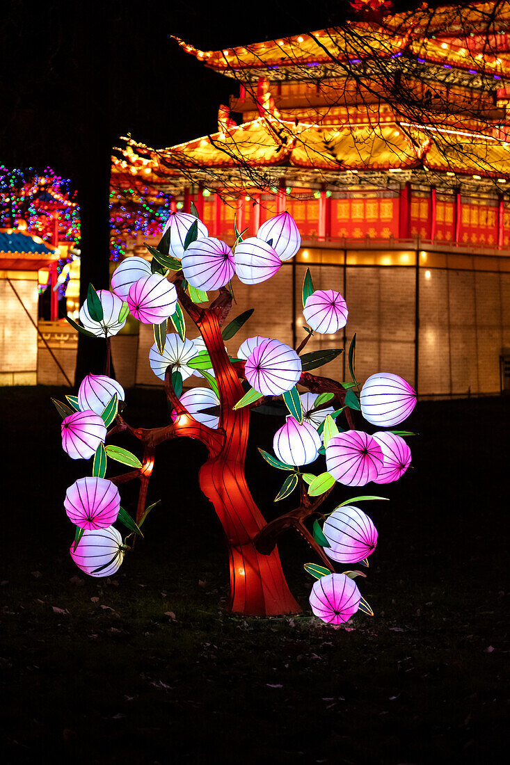 Lantern festival of Gaillac,Tarn,Occitanie,France. Du 01-12-2018 au   06-02-2019 au Château de Foucaud.