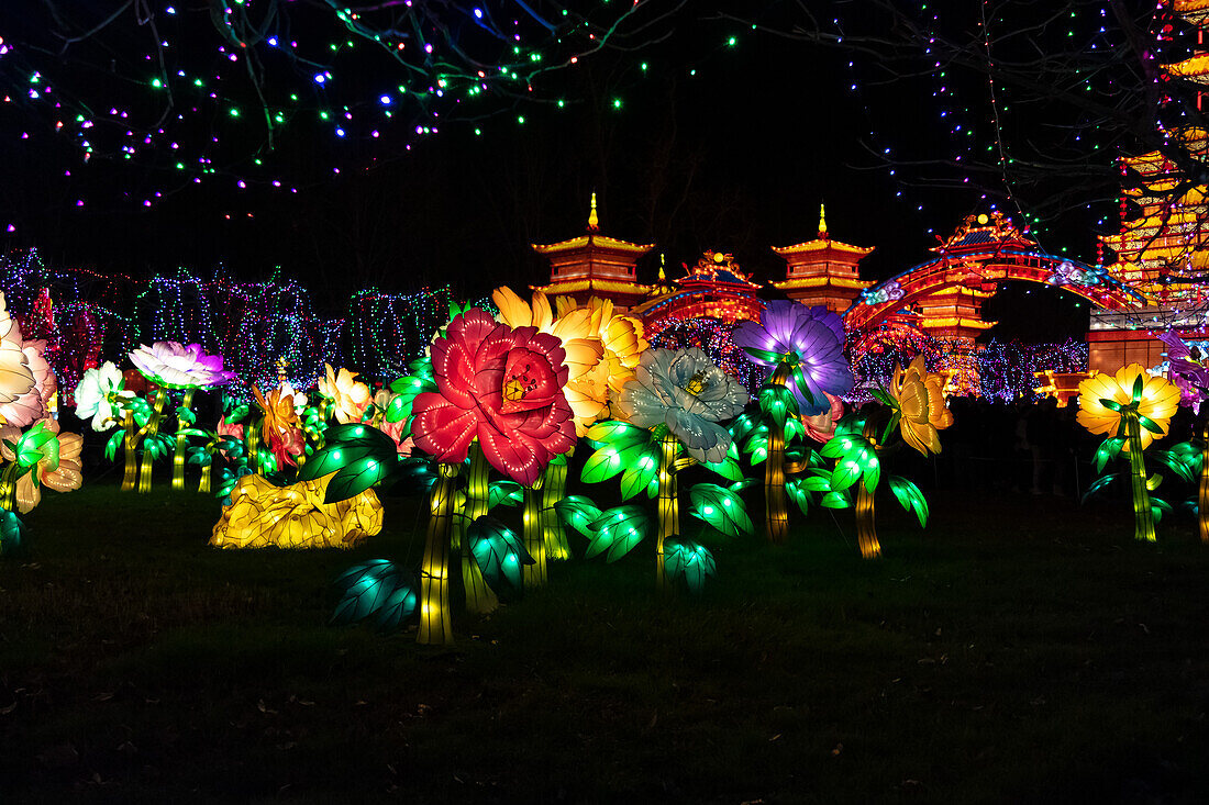 Lantern festival of Gaillac,Tarn,Occitanie,France. Du 01-12-2018 au   06-02-2019 au Château de Foucaud.