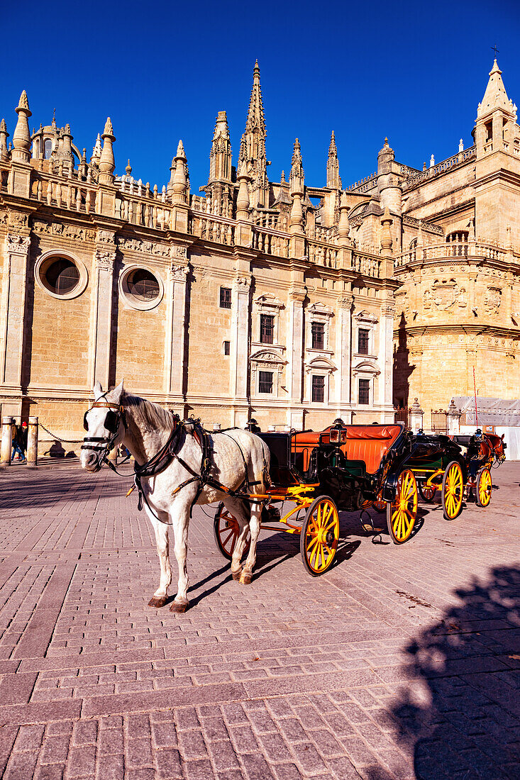 Kathedrale von Sevilla,Andalusien,Spanien