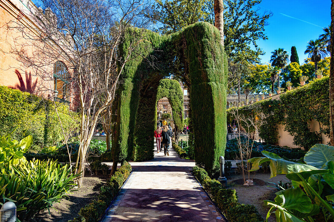 Real Alcázar of Seville,Andalusia,Spain