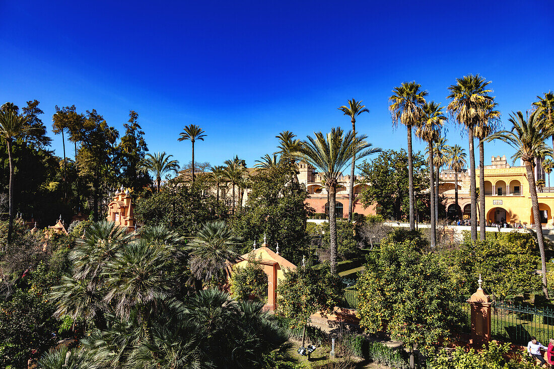 Real Alcázar of Seville,Andalusia,Spain