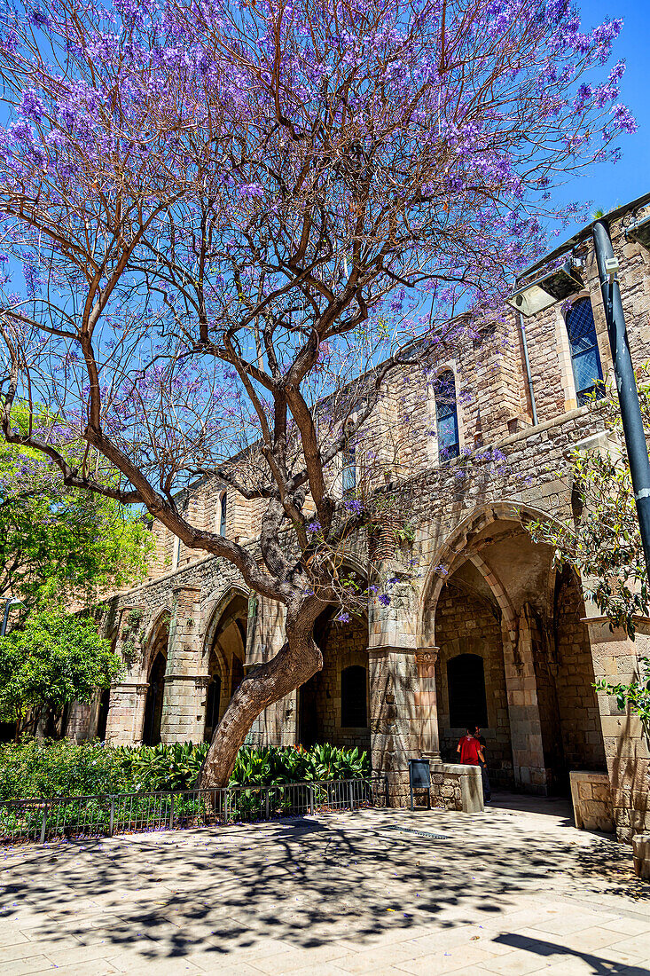 Barcelona,Spain - June 1,2019. Facade of the former Santa Creu Hospital in Barcelona. Now,the important Gothic ensemble is the National Library of Catalonia,Barcelona