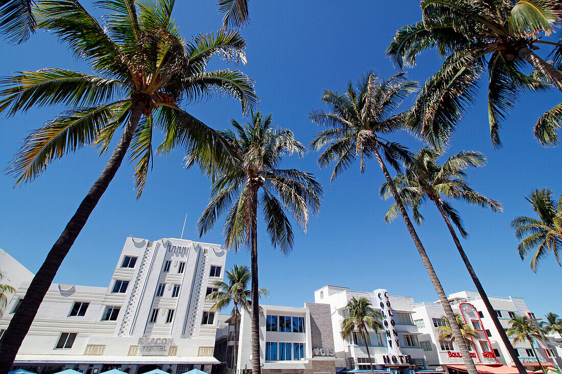 USA. Florida. Miami. Miami Beach. South Beach. Ocean Drive.