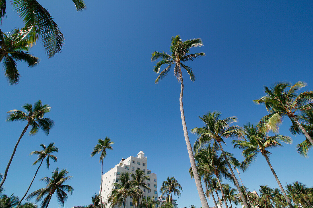 USA. Florida. Miami. Miami Strand. South Beach. Ocean Drive.