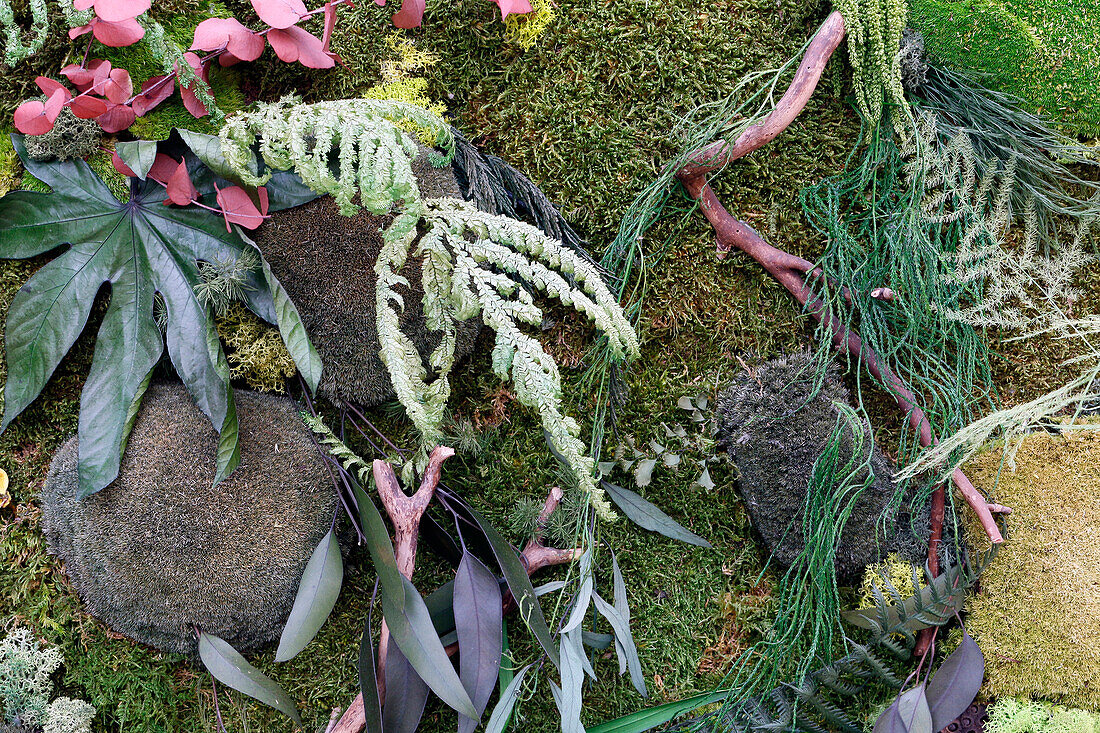 Seine et Marne. Detail of a green wall.