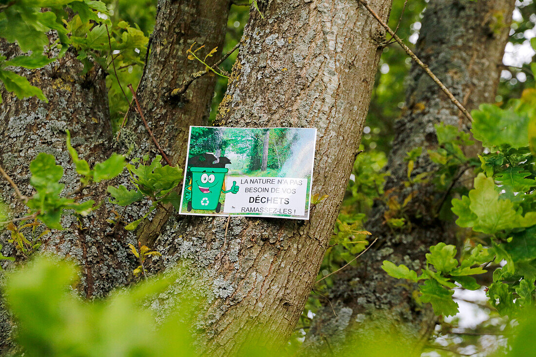 France. Seine et Marne. Boissy le Chatel. Forest. Hiking trail. Poster indicating that litter should not be left in nature.