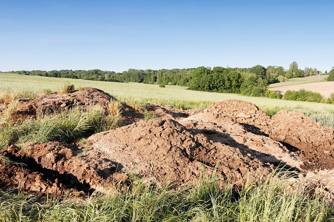 France. Seine et Marne. Boissy le Chatel. Dried manure in a field in late spring.