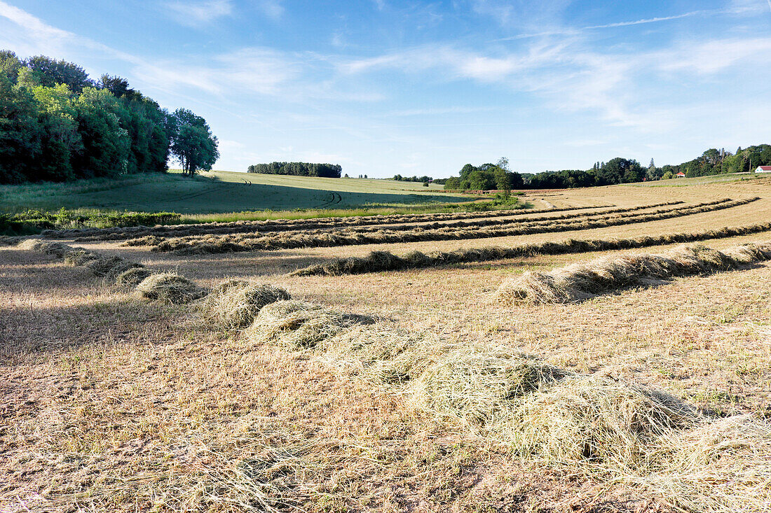 France. Seine et Marne. Boissy le Chatel. Field harvested in late spring.