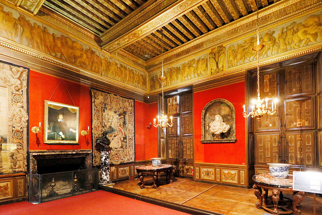 France. Seine et Marne. Castle of Vaux le Vicomte. The square room.