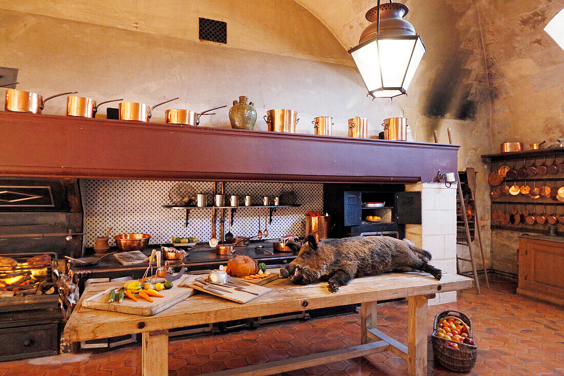 France. Seine et Marne. Vaux le Vicomte. Castle of Vaux le Vicomte. The big kitchen.