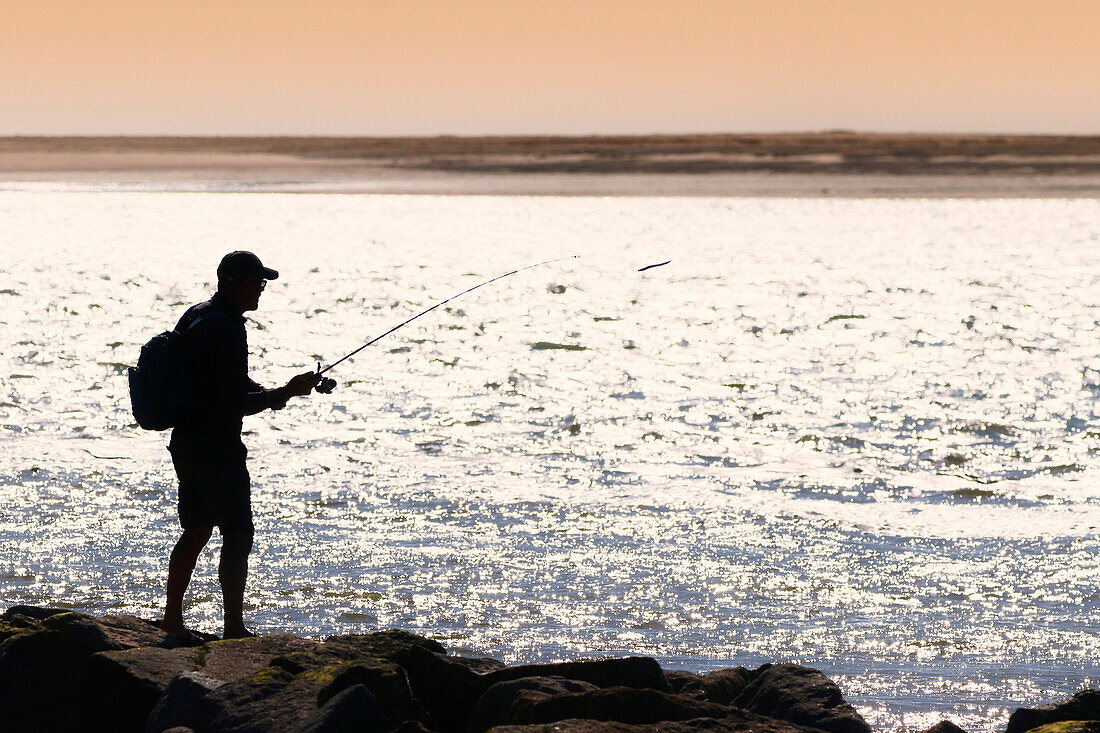 France. Normandy. Department of Manche. Havre de Regneville. Man angling at rising tide.