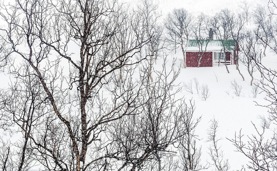 Norway,city of Tromso,red isolated house in the snow