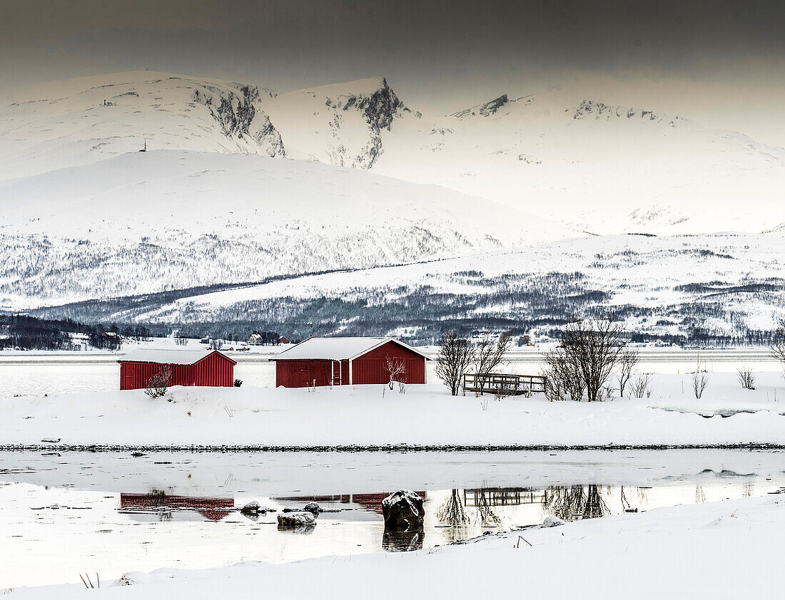 Norway,city of Tromso,red sheds in a snowy landscape