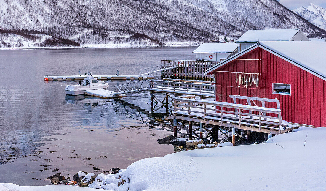 Norway,city of Tromso,Island of Senja,fishing port at the end of a fjord