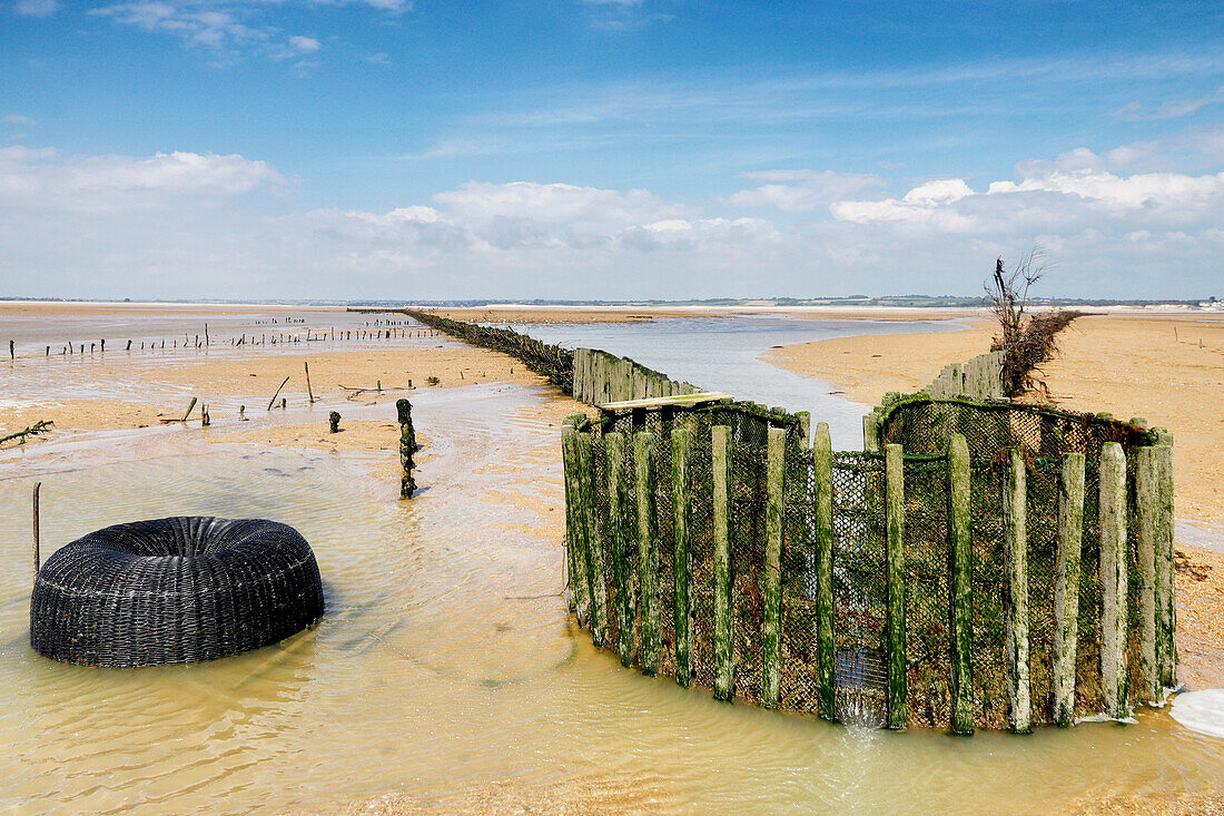 France. Normandy. Department of Manche. Hauteville sur Mer at low tide during the summer. View of the La Maillard fishery,one of the rare fisheries still active in Europe.