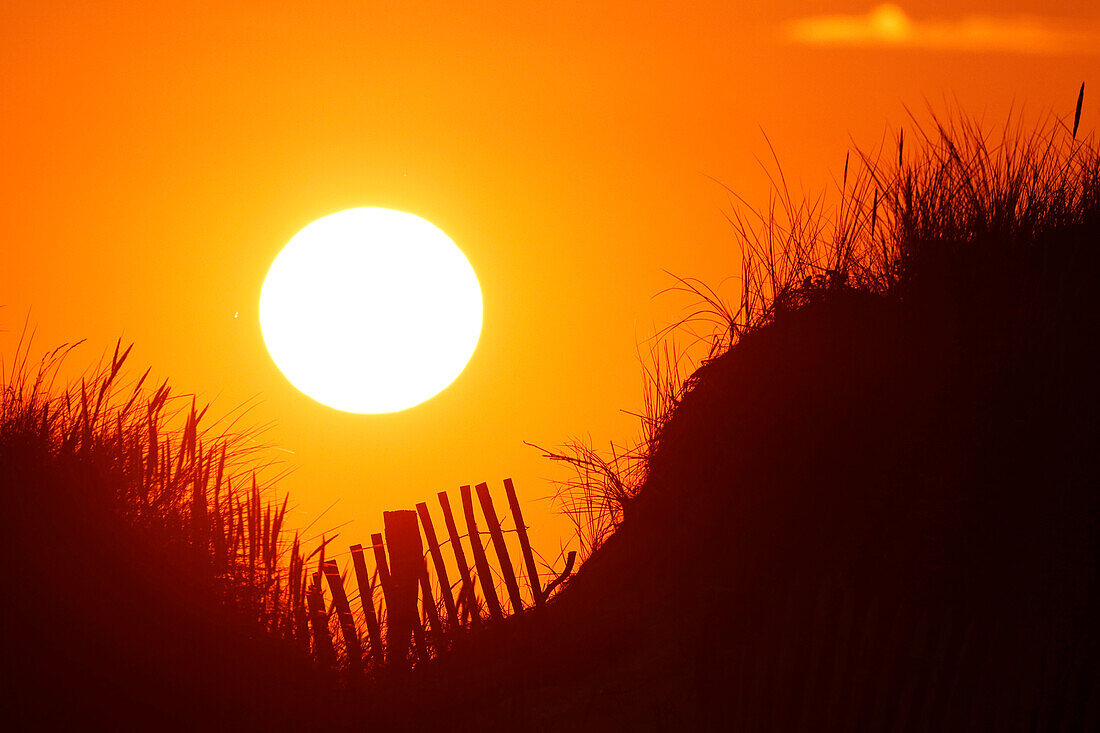 Frankreich. Normandie. Manche. Pointe de Montmartin sur Mer. Sonnenuntergang in den Dünen im Juli.