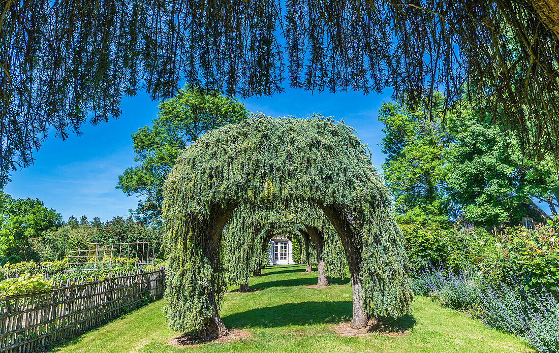 France,Perigord Noir,Dordogne,Jardins du Manoir d'Eyrignac (Historical Monument),Fleuriste garden