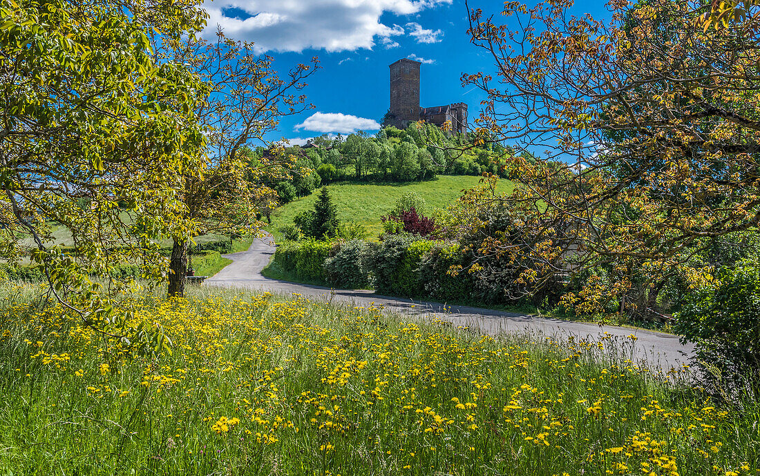 France,Quercy,Lot,Saint Laurent-les-Tours medieval fortress,(12th - 14th century),Historical Monument,Jean Lurcat Workshop-museum (label Maison des Illustres),label Maison des Illustres