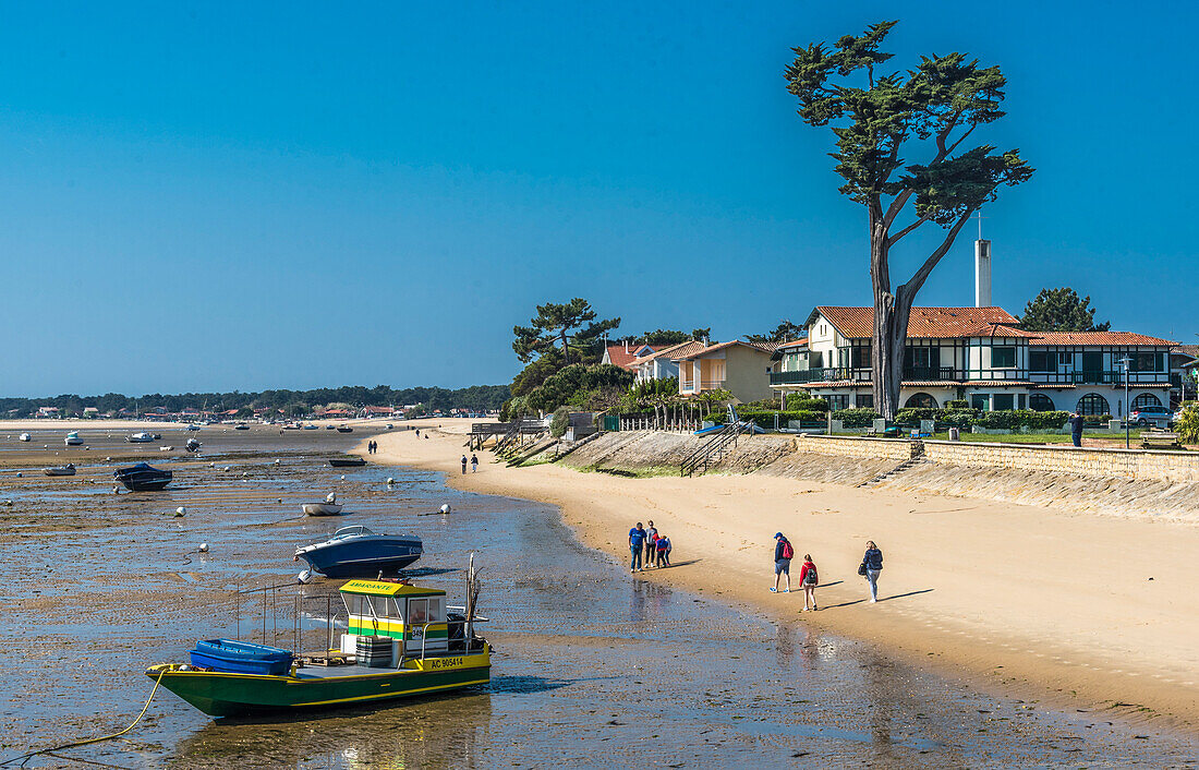 France,New Aquitaine,Arcachon Bay,Cap Ferret,Belissaire beach at low tide