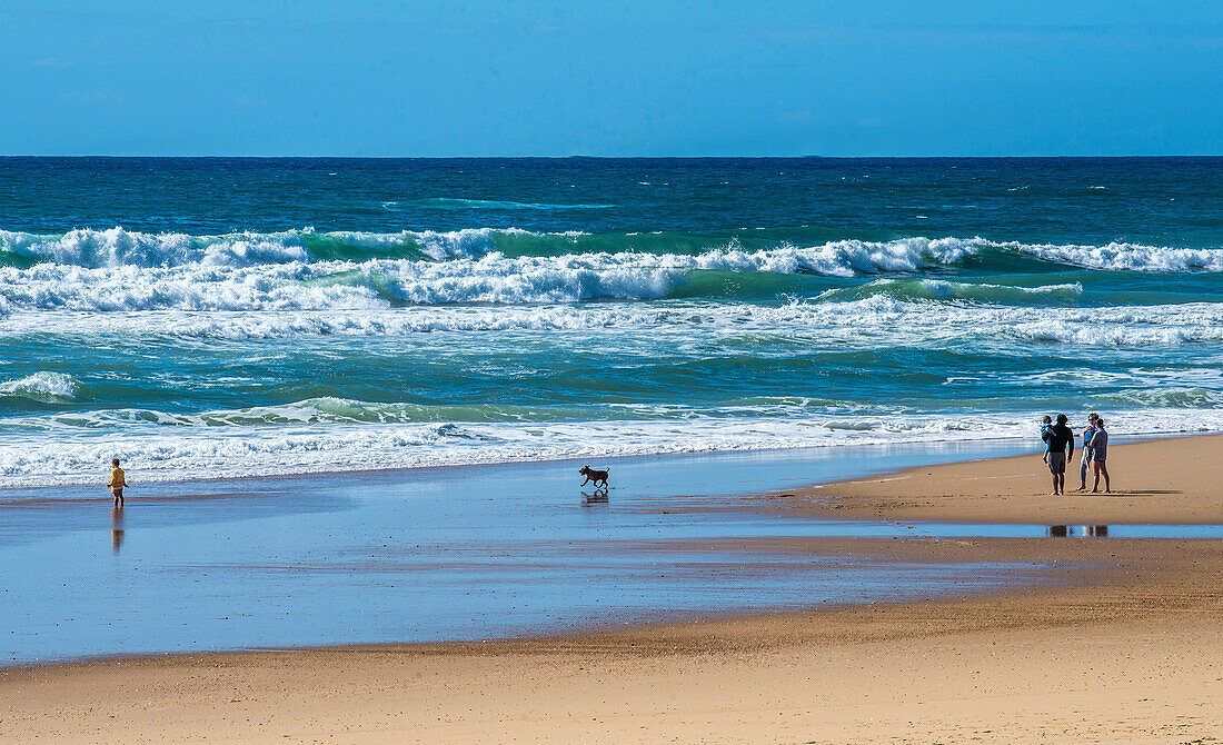 France,New Aquitaine,Landes,Saint-Julien-en-Born,Contis beach