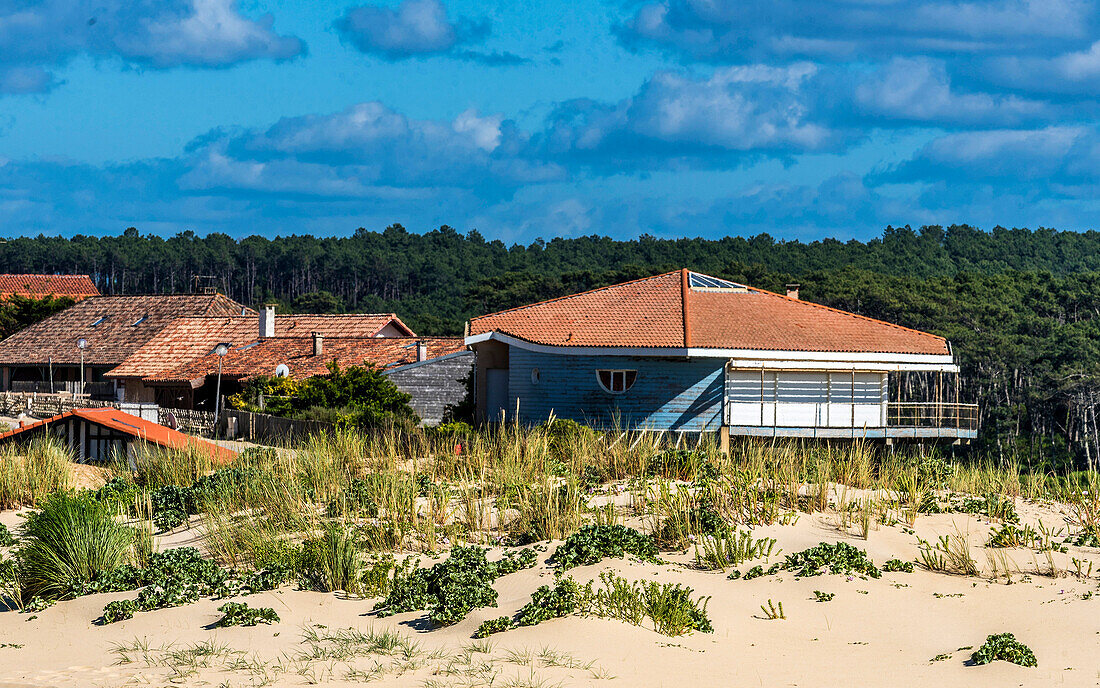 France,New Aquitaine,Landes,Saint-Julien-en-Born,residential houses behind the dune of the Contis beach