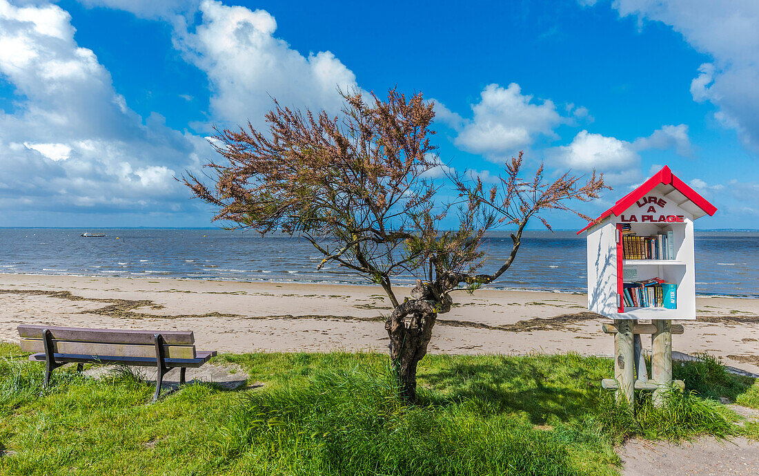 France,Gironde,Arcachon Bay,Lanton,books box and a bank on a beach at Lanton