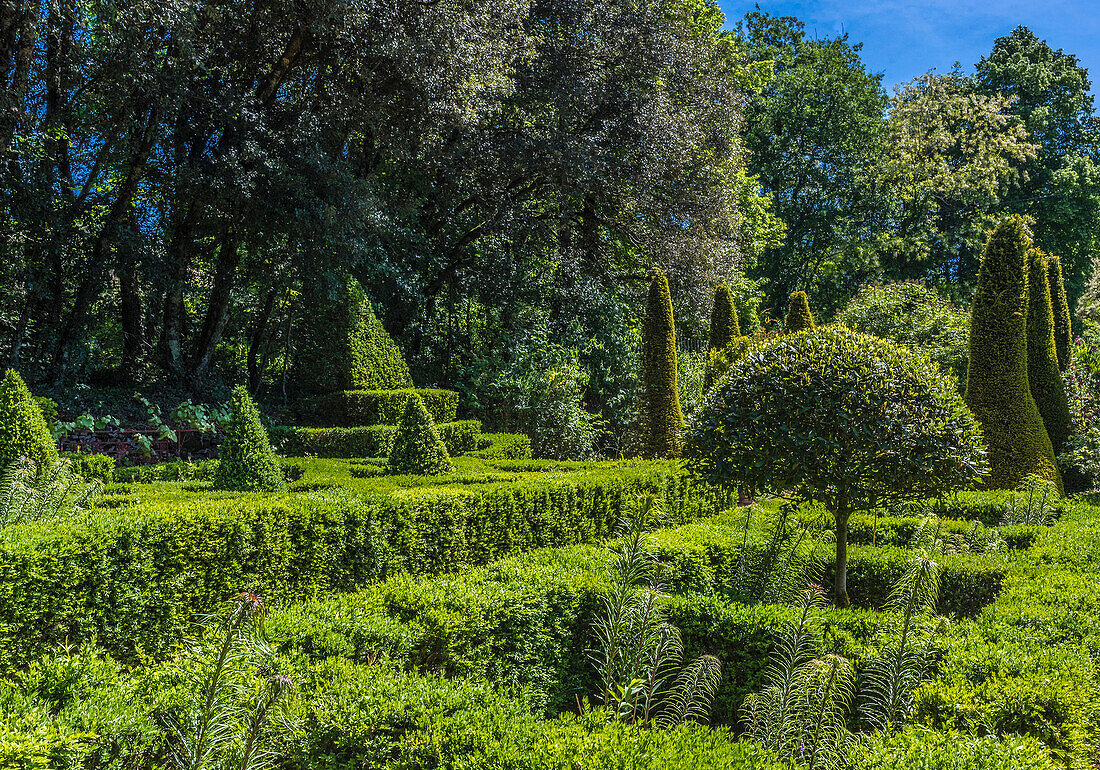 Frankreich,Perigord,Dordogne,Cadiot-Gärten in Carlux (Gütesiegel „Bemerkenswerter Garten“),Formschnitt