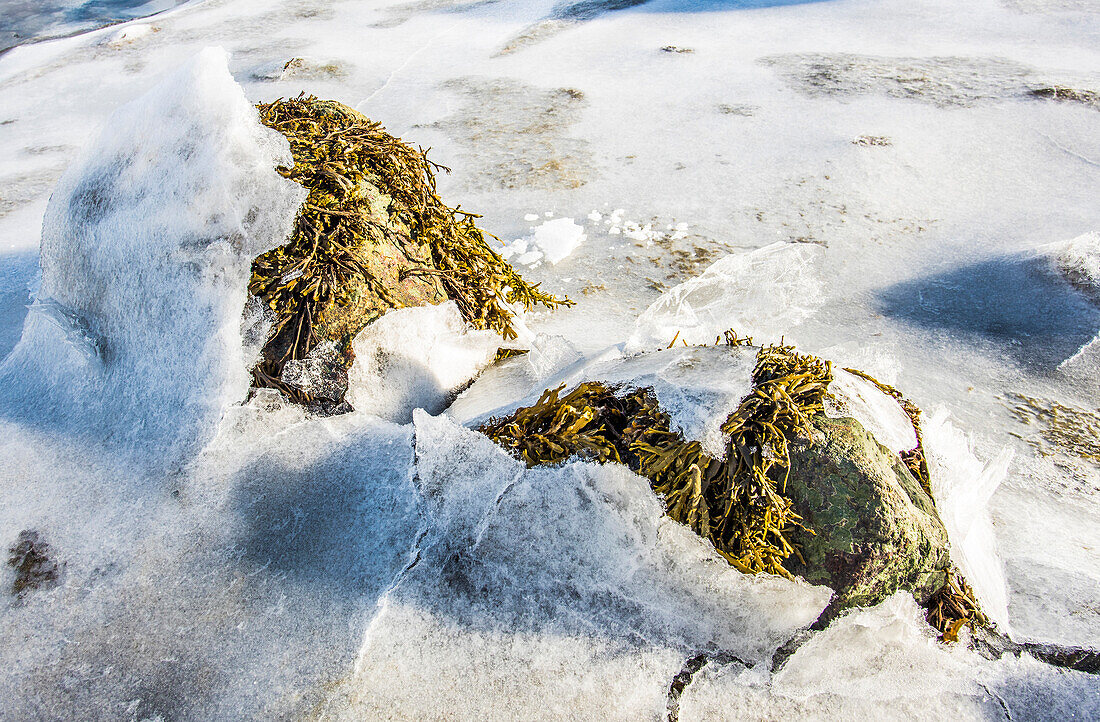 Norway,City of Tromso,Island of Senja,close-up shot of the ice on the sides of a fjord