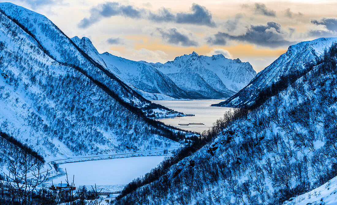 Norway,City of Tromso,Island of Senja,fjord covered with snow at sunrise