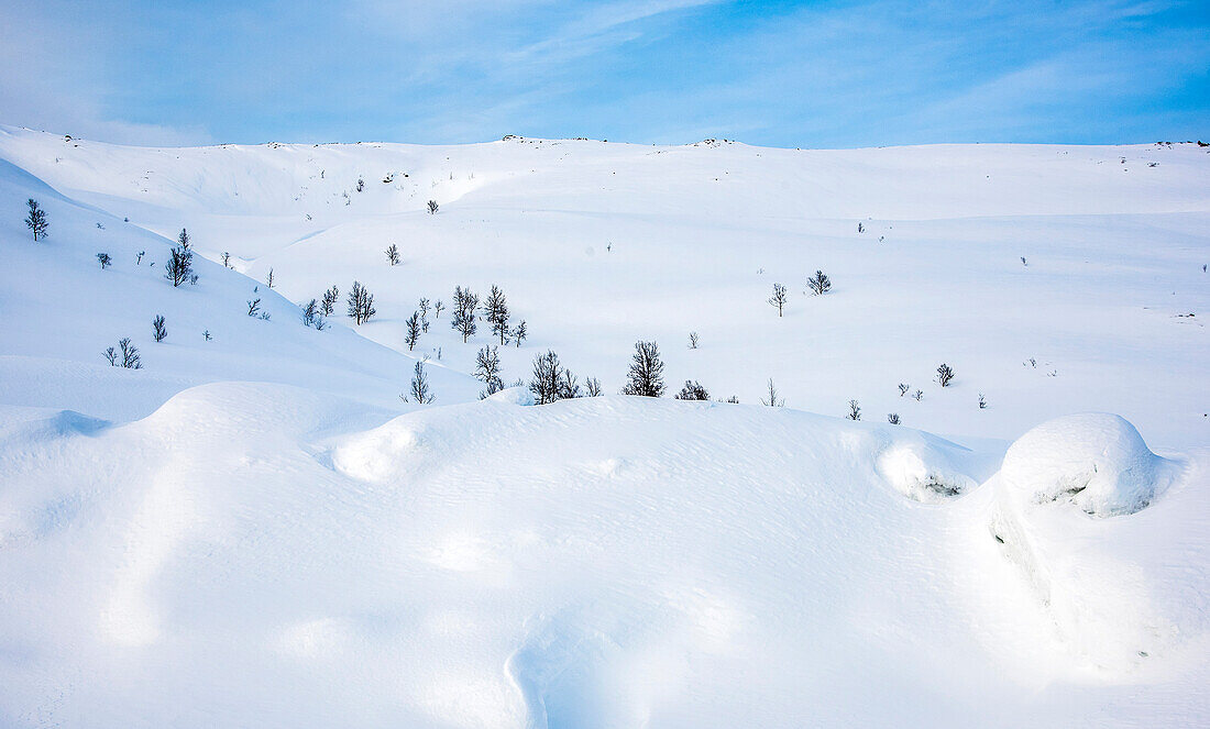 Norway,city of Tromso,Island of Senja,snowy landscape