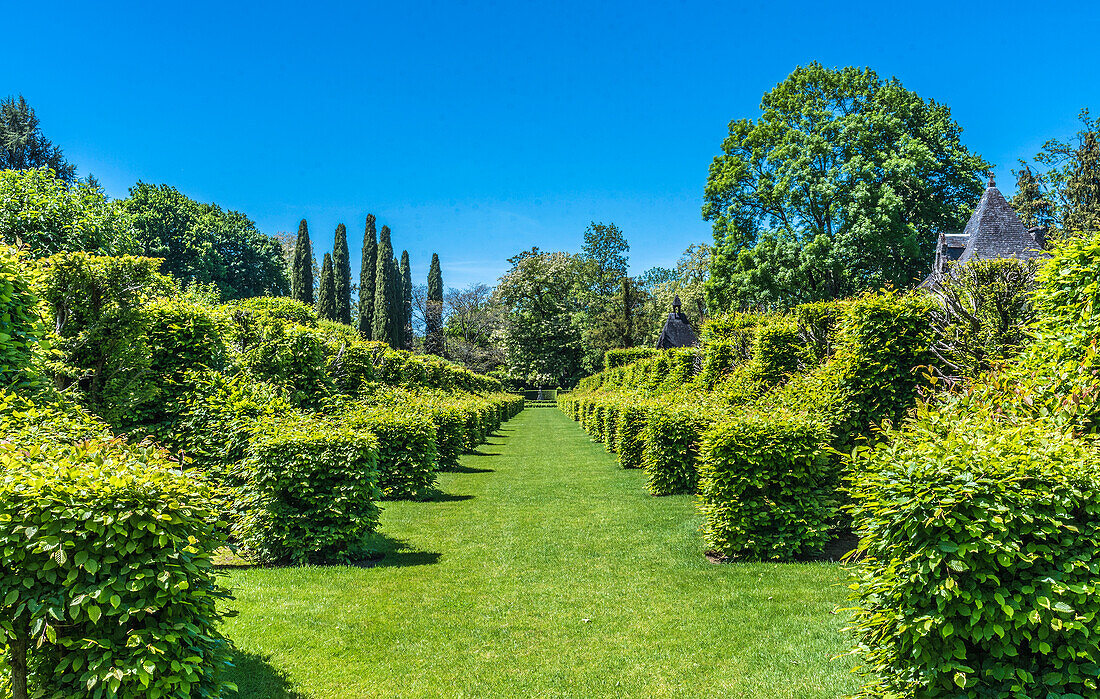 France,Perigord Noir,Dordogne,Jardins du Manoir d'Eyrignac (Historical Monument),hornbeam alley