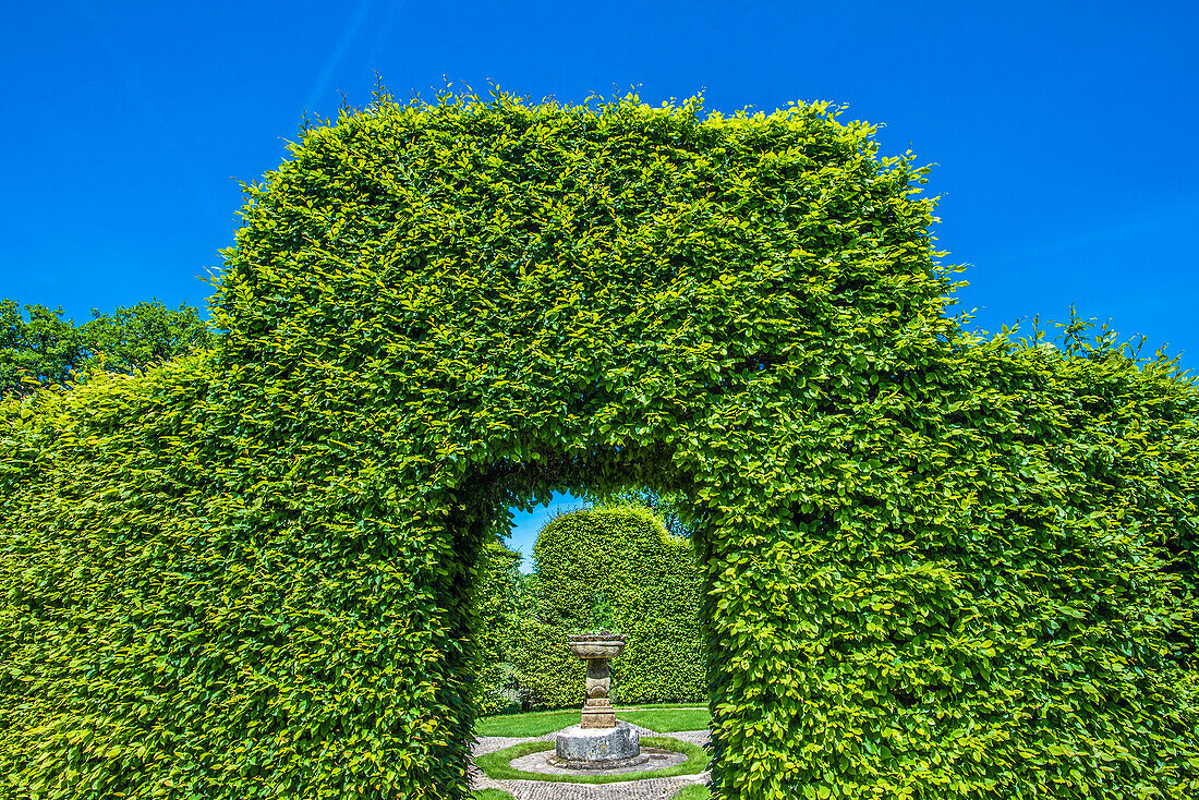 France,Perigord Noir,Dordogne,Jardins du Manoir d'Eyrignac (Historical Monument),clipped hedge