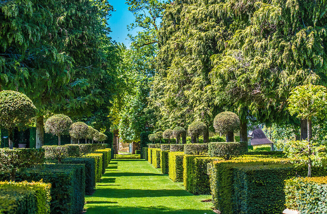 France,Perigord Noir,Dordogne,Jardins du Manoir d'Eyrignac (Historical Monument),topiary of the vase alley