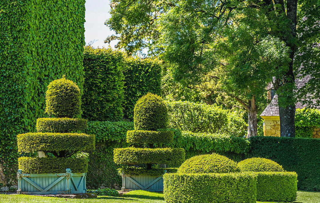 France,Perigord Noir,Dordogne,Jardins du Manoir d'Eyrignac (Historical Monument),topiary of the vase alley