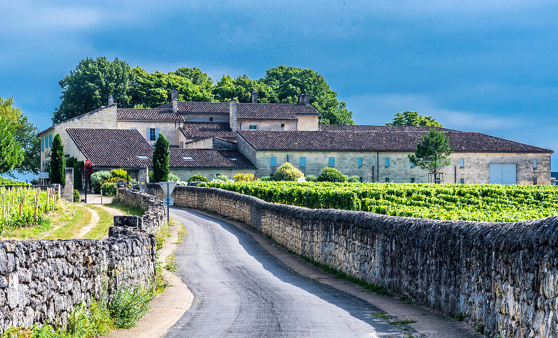 France,Gironde,Saint Emilion (UNESCO World Heritage Site),clos Fourtet (1er grand cru classe of the St Emilion AOC)